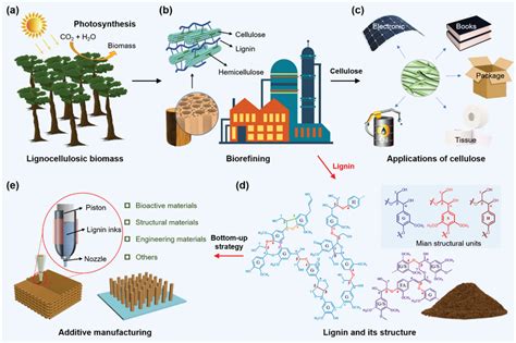 Lignin Voor Kunststof Toepassingen en Biobrandstoffen: Een Wondermiddel voor een Duurzame Toekomst?