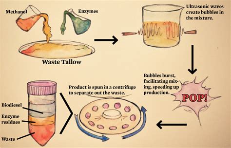  Tallow: Een Verrassende bron voor Biodiesel en Zeepmaak!